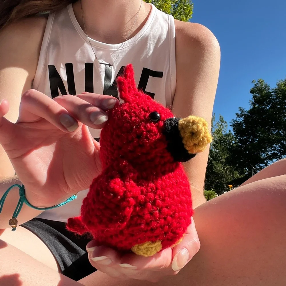 Hand Crocheted Ruby the Cardinal Stuffed Animal Plushie! - Picture 3 of 11